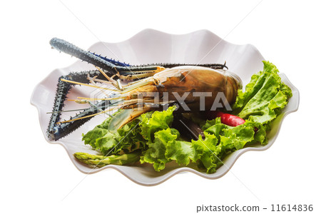 Freshwater prawn 11614836