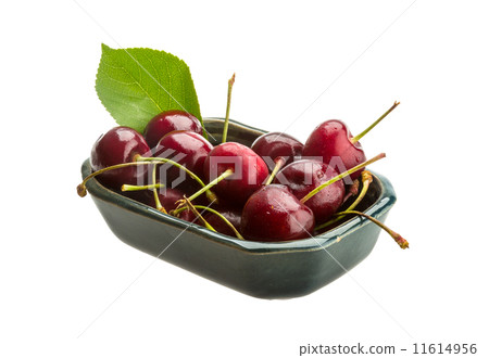 Gean - cherry Gean - cherry 11614956