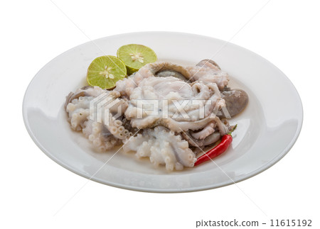 Raw octopus Raw octopus 11615192