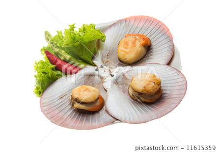 Grilled scallops 11615359