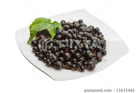 Black currant 11615482