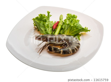 Tiger prawn 11615759