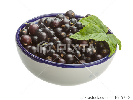 Black currant Black currant 11615760