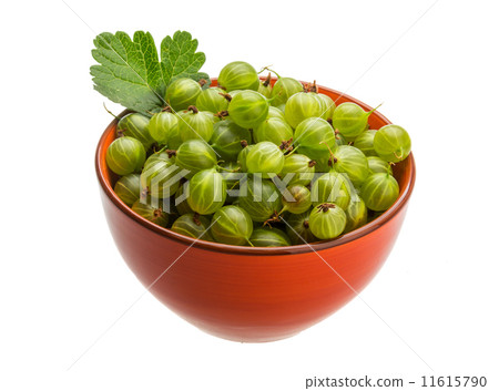 Gooseberries 11615790