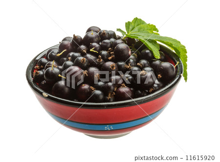 Black currant Black currant 11615920