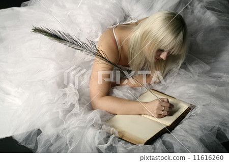 princess diary princess diary 11616260