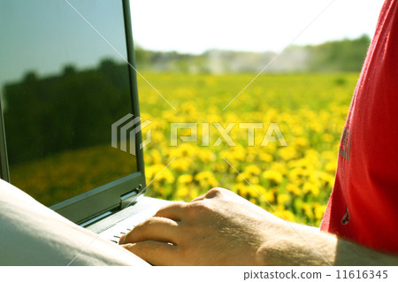 laptop nature work laptop nature work 11616345