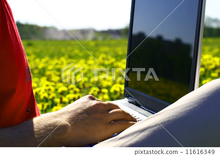 laptop nature work 11616349