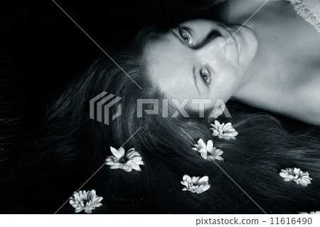 hair white flowers 11616490