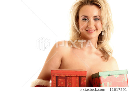sexy santa girl 11617291