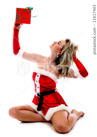 santa girl 11617403