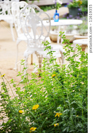 花園露台 花園露台 11619355