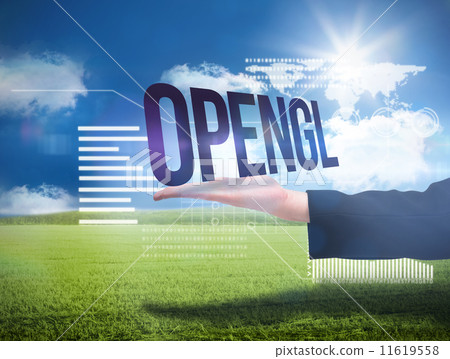 Businesswomans hand presenting the word opengl 11619558