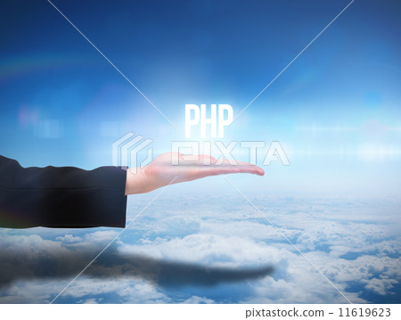 Businesswomans hand presenting the word php 11619623