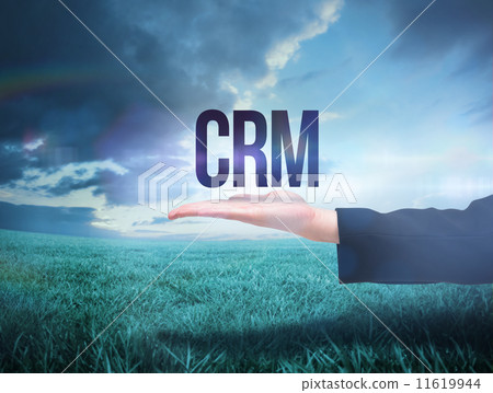 Businesswomans hand presenting the word crm 11619944