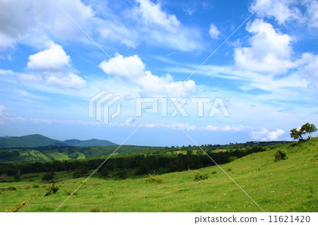 Sugadaira Kogen Sugadaira Kogen 11621420