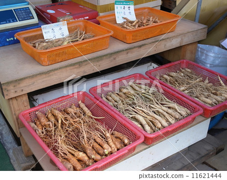 Ginseng Ginseng 11621444