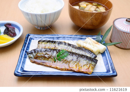 Pacific saury Pacific saury 11621619