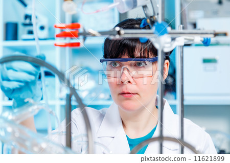 synthesis of the artificial protein 11621899