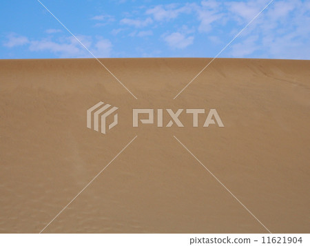 Sand dune 11621904