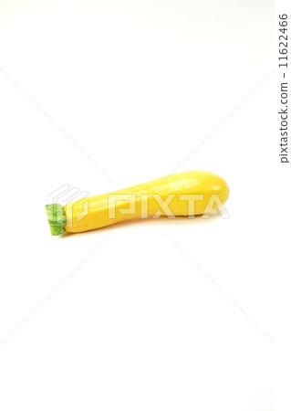 意大利麵條蔬菜·黃色拉長的西葫蘆“Aurum”1個·垂直位置 11622466