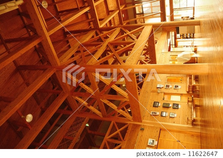 樹的建設 11622647