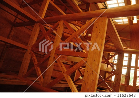 樹的建設 樹的建設 11622648