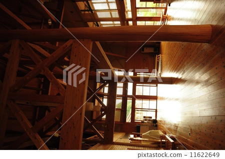 Building of tree 11622649