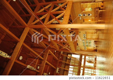 樹的建設 樹的建設 11622651