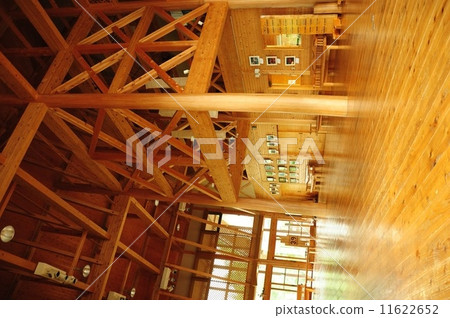 樹的建設 樹的建設 11622652