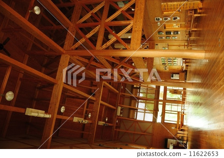 樹的建設 樹的建設 11622653