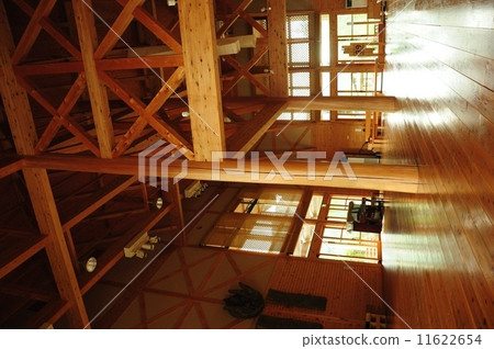 樹的建設 樹的建設 11622654