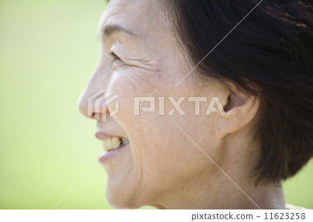 高級女性 11623258