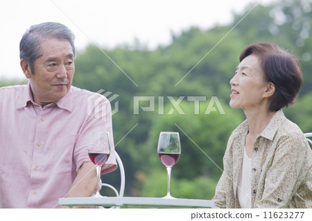 A couple doing a toast 11623277