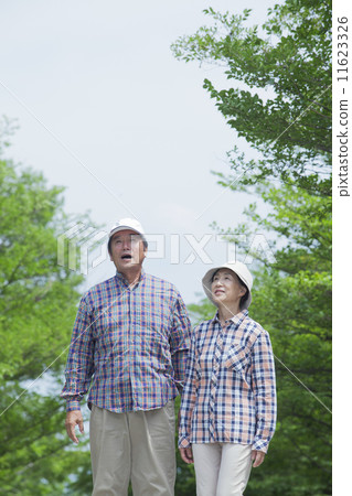 Senior to take a walk 11623326