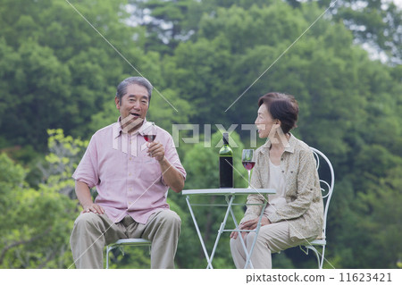 A couple drinking wine A couple drinking wine 11623421