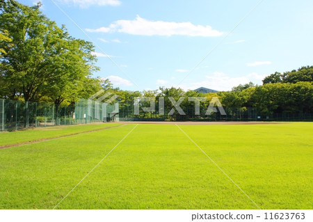 區域體育場 區域體育場 11623763