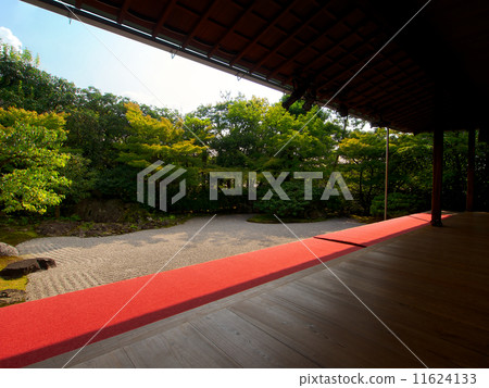 Fresh green of Kodaiji Temple Fresh green of Kodaiji Temple 11624133