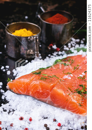 Salted salmon with spices Salted salmon with spices 11624375
