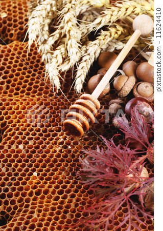 Honey, nuts and autumn leaves Honey, nuts and autumn leaves 11624410