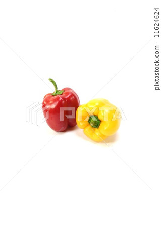 Spaghetti vegetables - 1 red and yellow paprika - white back vertical position 11624624