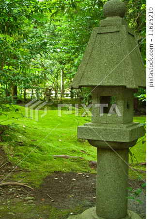 野宮神社的花園燈籠 野宮神社的花園燈籠 11625210