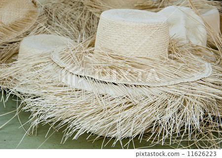 Accessory - Panama Hats Accessory - Panama Hats 11626223
