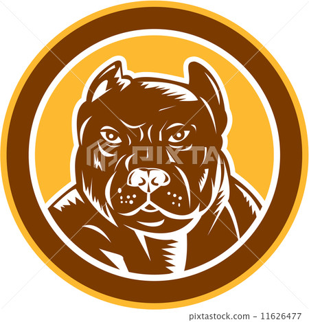 Pitbull Dog Mongrel Head Circle Woodcut Pitbull Dog Mongrel Head Circle Woodcut 11626477