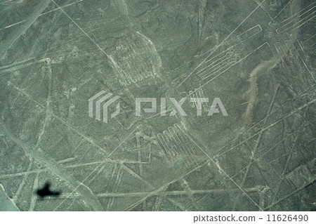 Nasca's Landscape Pelicans Nasca's Landscape Pelicans 11626490