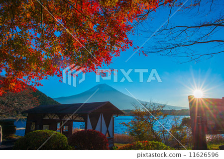 Fall asahi and Mt. Fuji 11626596