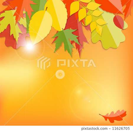 Shiny Autumn Natural Leaves Background. Vector Illustration 11626705