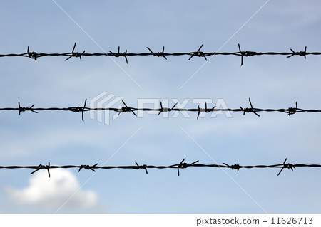 barbed wire barbed wire 11626713