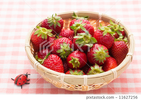 草莓在籃子裡曬太陽 草莓在籃子裡曬太陽 11627256