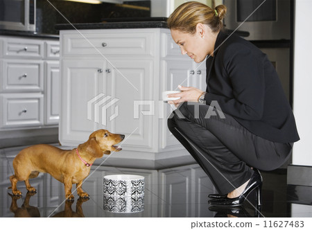Hispanic businesswoman feeding dog 11627483